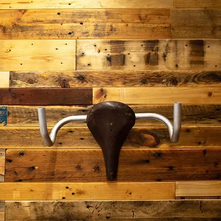 Becycle Sustainable And Travel