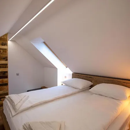 Becycle Sustainable And Travel Aparthotel Maribor