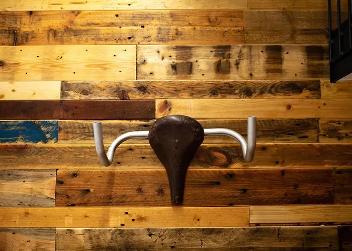 Becycle Sustainable And Travel