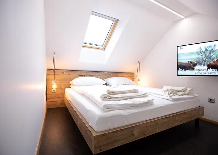 Becycle Sustainable And Travel